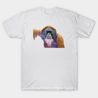 Orangutan T-Shirt